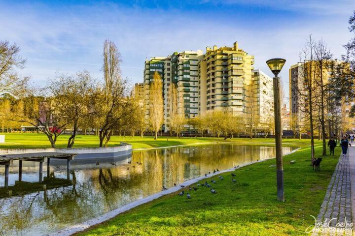 Green Executive Apartment In The Heart Of ליסבון מראה חיצוני תמונה